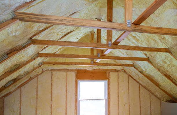 Best Professional Insulation Contractor  in Meridian, PA