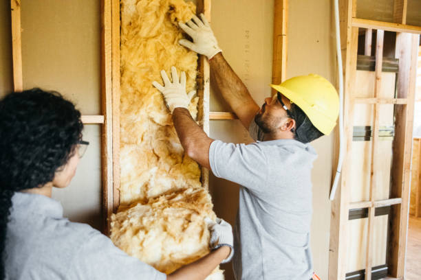 Best Residential Insulation Services  in Meridian, PA